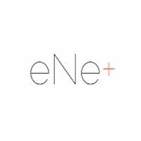 eNe Consultora
