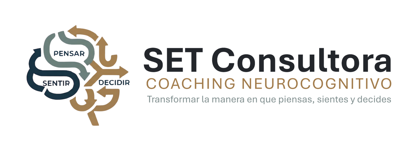 SET Consultora